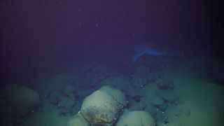 A dark, blurry underwater photo of a rocky sea floor