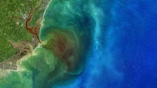 A satellite photo of dark water flowing into the ocean from an estaury